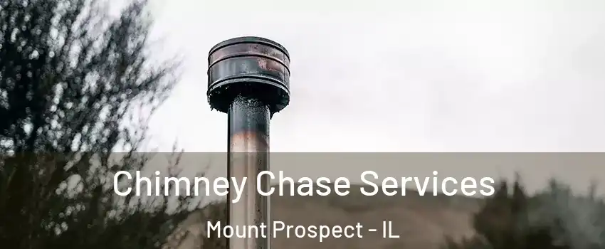  Chimney Chase Services Mount Prospect - IL