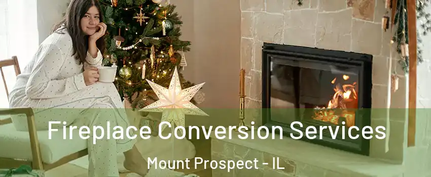  Fireplace Conversion Services Mount Prospect - IL