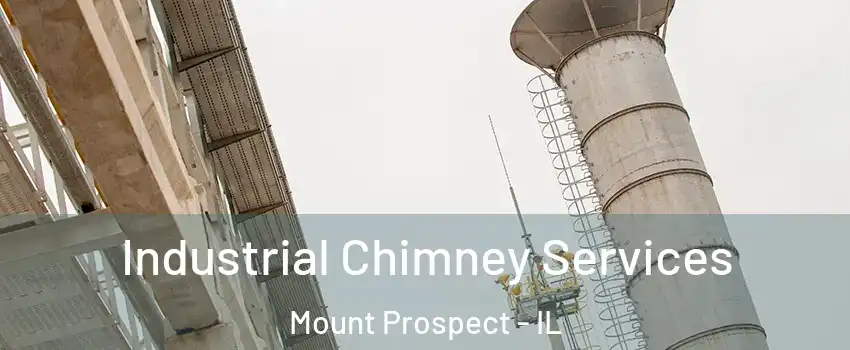  Industrial Chimney Services Mount Prospect - IL