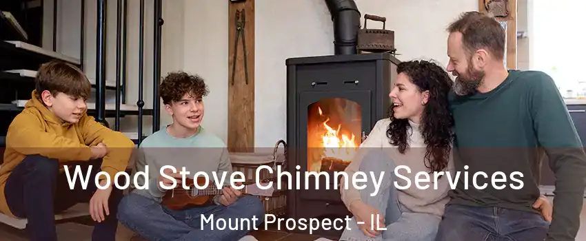  Wood Stove Chimney Services Mount Prospect - IL